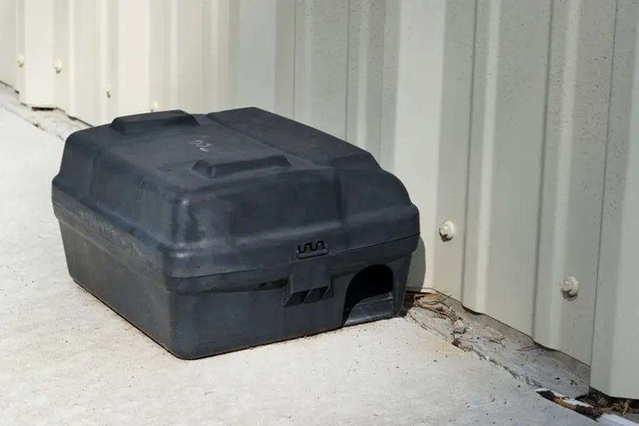 Excellent Rodent Removal in Ormond Beach, FL